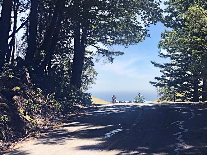 Mt. Tam via Muir Woods Bike Climb - PJAMM Cycling