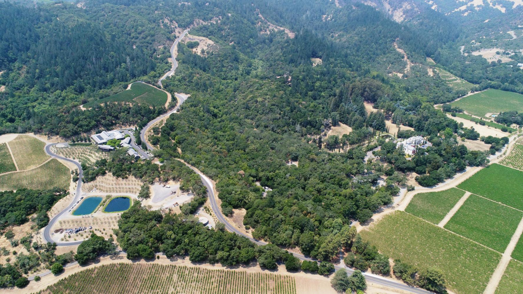 Climbing Oakville Grade, CA by bike cycling data and info