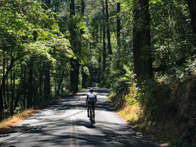 Old Howell Mountain Road Bike Climb - PJAMM Cycling