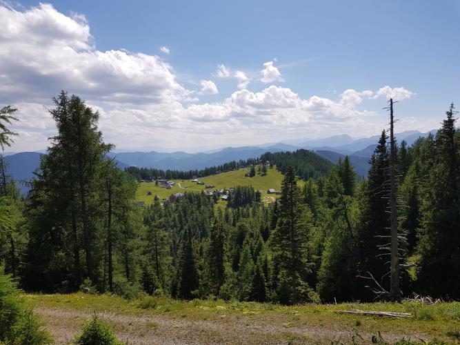 Windgrube Bike Climb - PJAMM Cycling