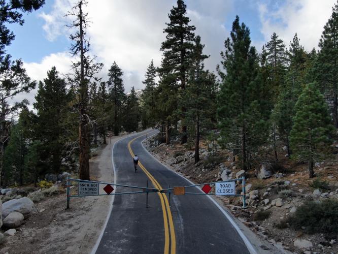 Sonora Pass East Bike Climb - PJAMM Cycling