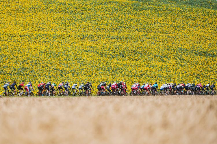 Tour de France 2022: Stage 3 Bike Climb - PJAMM Cycling