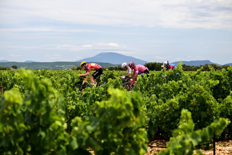 Stage 11: Tour de France 2026 Bike Climb - PJAMM Cycling