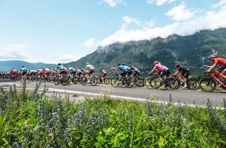 Stage 20: Tour de France 2023 Bike Climb - PJAMM Cycling