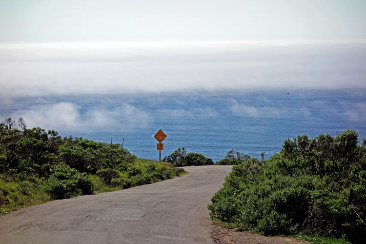 Coleman Valley Road West Bike Climb - PJAMM Cycling