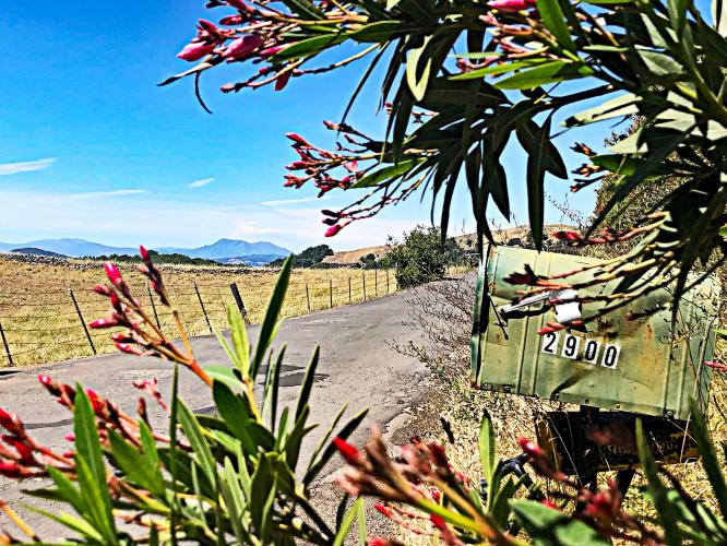 Sonoma Mountain Road West Bike Climb - PJAMM Cycling