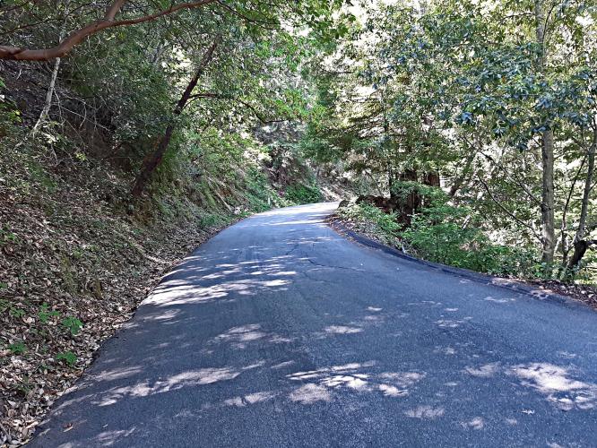 Jamison Creek Road Bike Climb - PJAMM Cycling