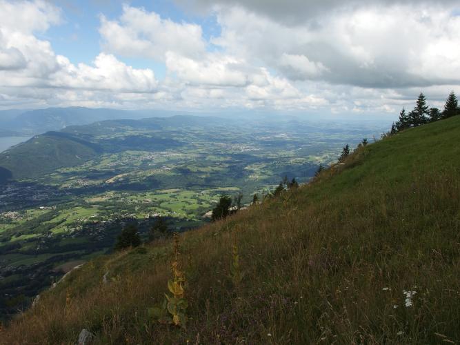 Route du Revard Bike Climb - PJAMM Cycling