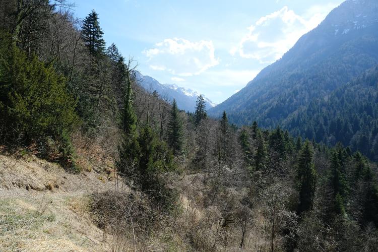 Combe d'Ire Bike Climb - PJAMM Cycling