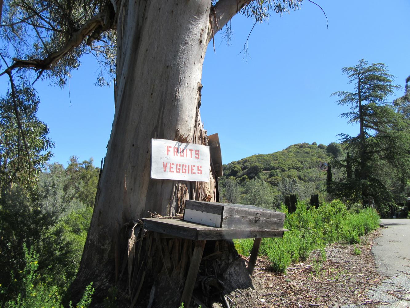 Climbing Soda Springs Road, CA by bike cycling data and info
