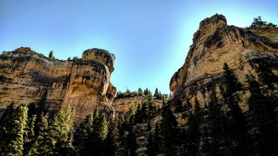 Cedar Canyon Bike Climb - PJAMM Cycling