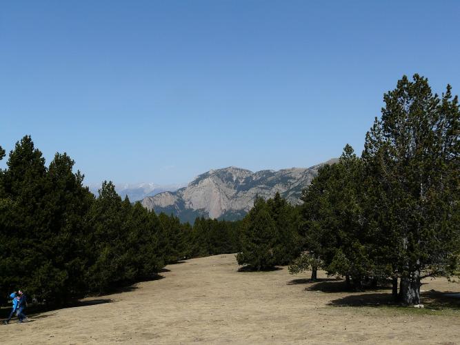 Rasos de Peguera Bike Climb - PJAMM Cycling