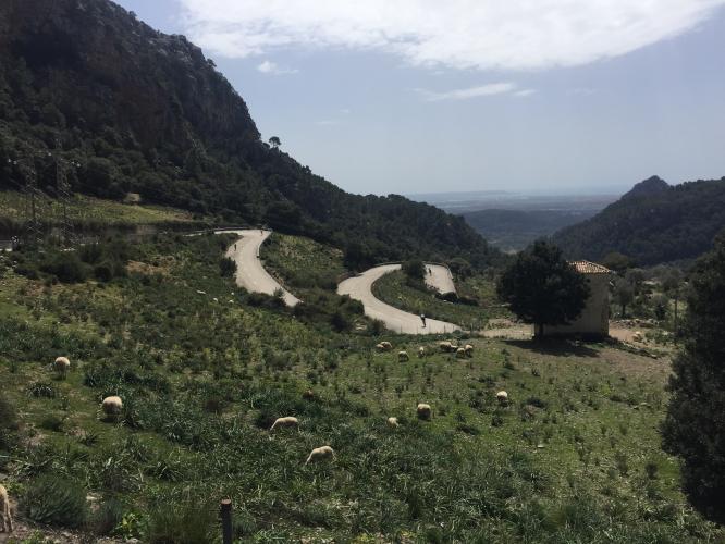 Coll de Sóller Bike Climb - PJAMM Cycling