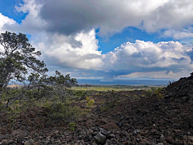 Mauna Loa Lookout Road Bike Climb - PJAMM Cycling