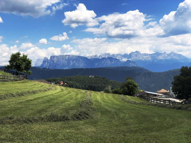 Jesenierstrabe Bike Climb - PJAMM Cycling