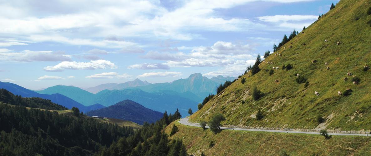 Goletto di Cadino Bike Climb - PJAMM Cycling