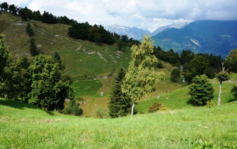 Kolovrat Bike Climb - PJAMM Cycling