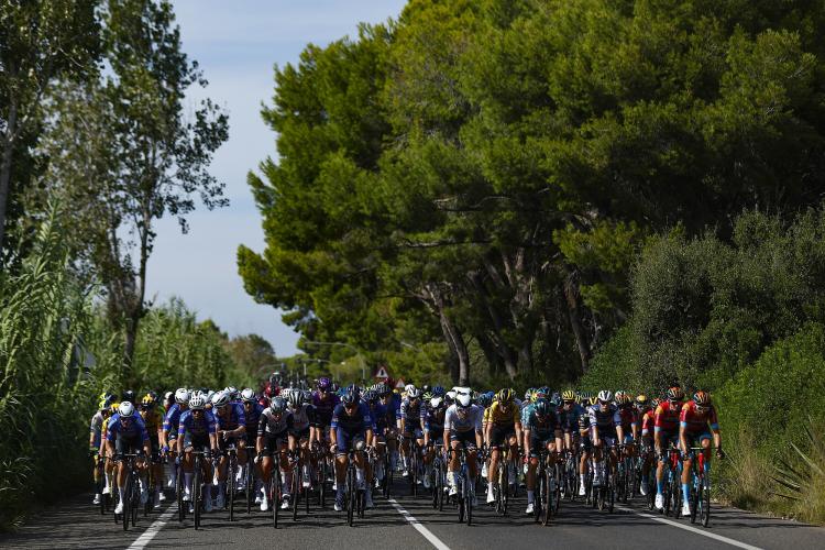 Vuelta a España Stage 8 Bike Climb - PJAMM Cycling