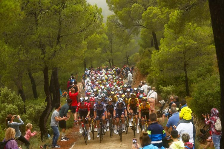 Vuelta a España Stage 11 Bike Climb - PJAMM Cycling
