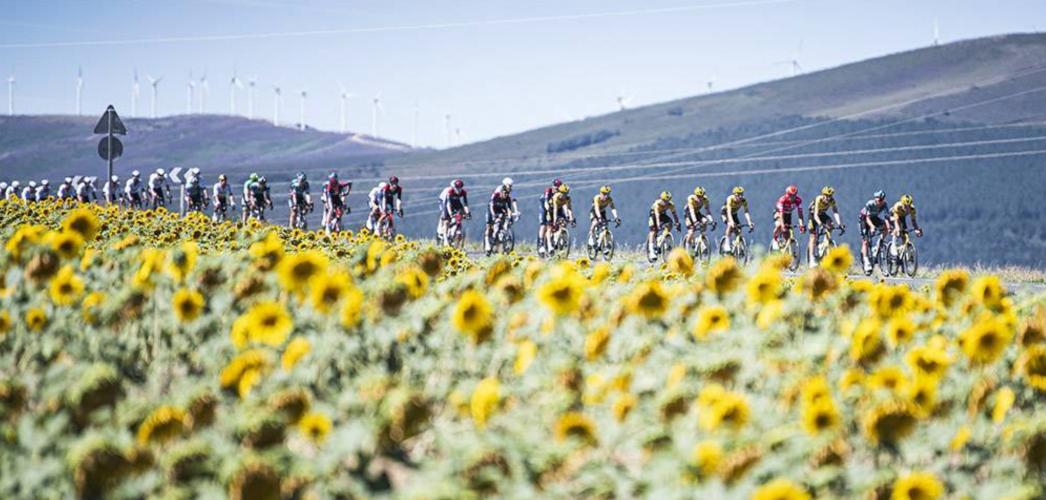 Vuelta a España Stage 12 Bike Climb - PJAMM Cycling