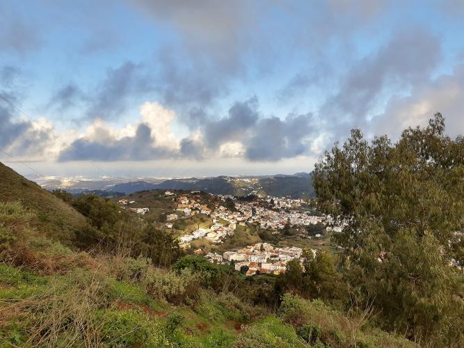 Teror Bike Climb - PJAMM Cycling