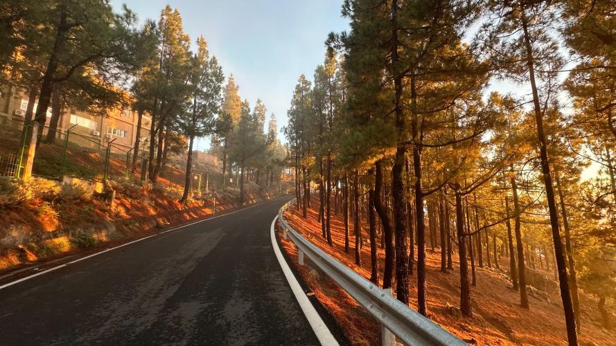 Pico de las Nieves (Las Crucitas) Bike Climb - PJAMM Cycling