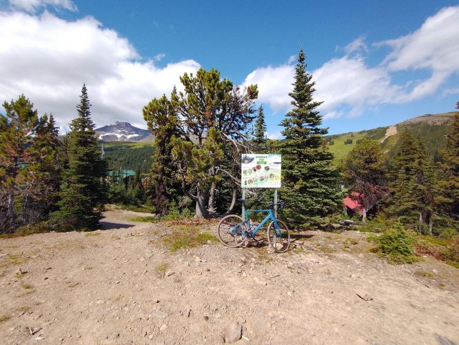 Hudson Bay Mountain Bike Climb - PJAMM Cycling