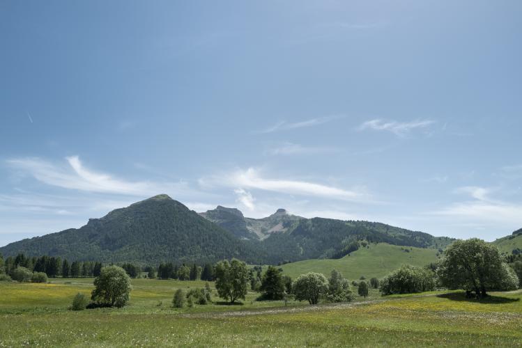 Monte Bondone (Aldeno) Bike Climb - PJAMM Cycling