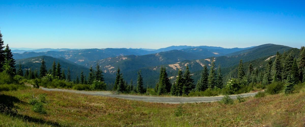 The Hastings Rd (Mad River) Bike Climb - PJAMM Cycling