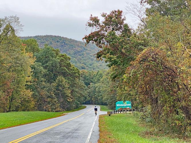 Wintergreen Drive Bike Climb - PJAMM Cycling