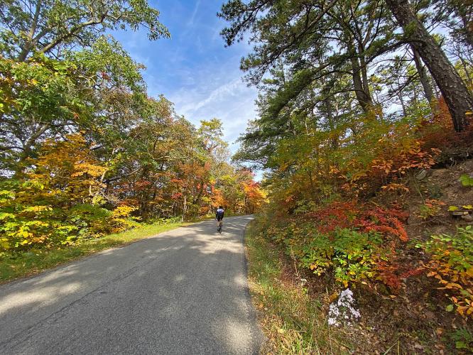 Reddish Knob (Virginia) Bike Climb - PJAMM Cycling