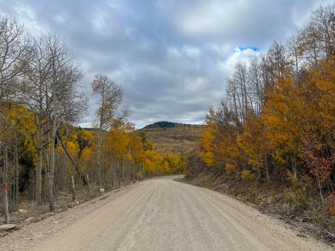 Kolob Terrace Gravel Bike Climb - PJAMM Cycling