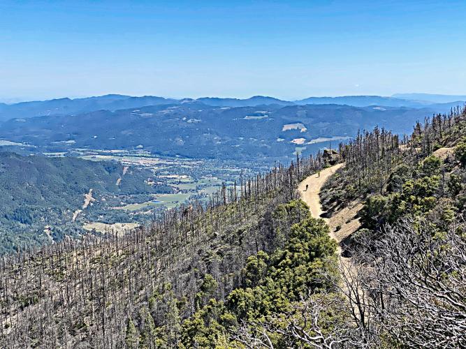 Mt. St. Helena (gravel) Bike Climb - PJAMM Cycling