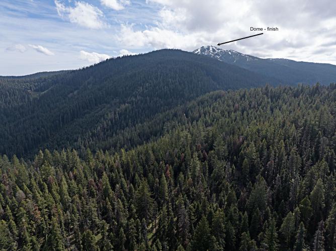 Mt. Ashland (Ashland Loop Rd) Bike Climb - PJAMM Cycling