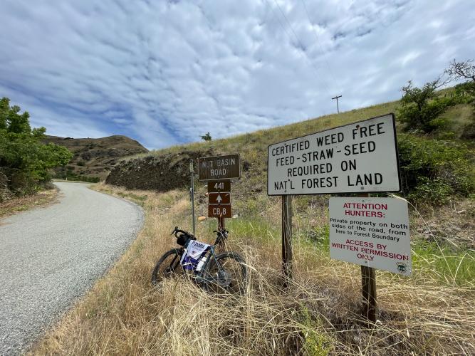 Nut Basin - Waterspout Roads Bike Climb - PJAMM Cycling