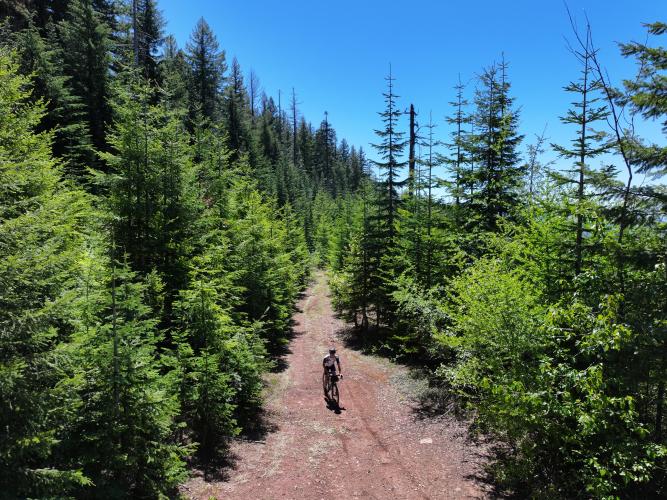 O'Leary Mountain Bike Climb - PJAMM Cycling