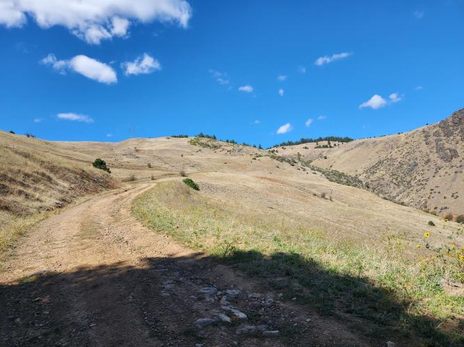 Hells Canyon Bike Climb - PJAMM Cycling