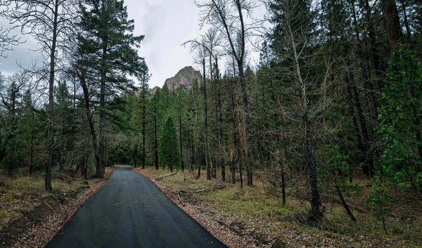 Castle Creek Road Bike Climb - PJAMM Cycling