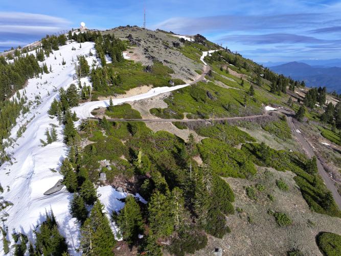 Mt. Ashland (NFR 2080) Bike Climb - PJAMM Cycling