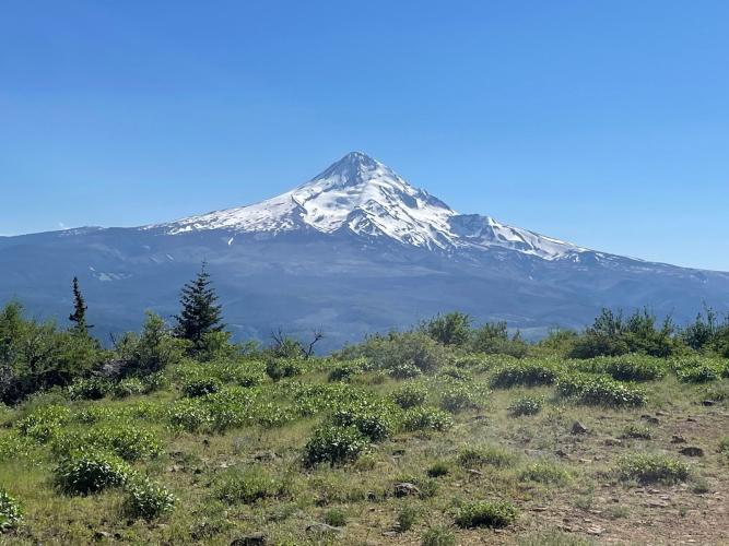 Oak Ridge Trail Bike Climb - PJAMM Cycling