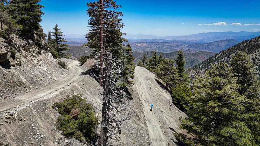 Mt. Baldy Notch (from Lytle Creek) Bike Climb - PJAMM Cycling