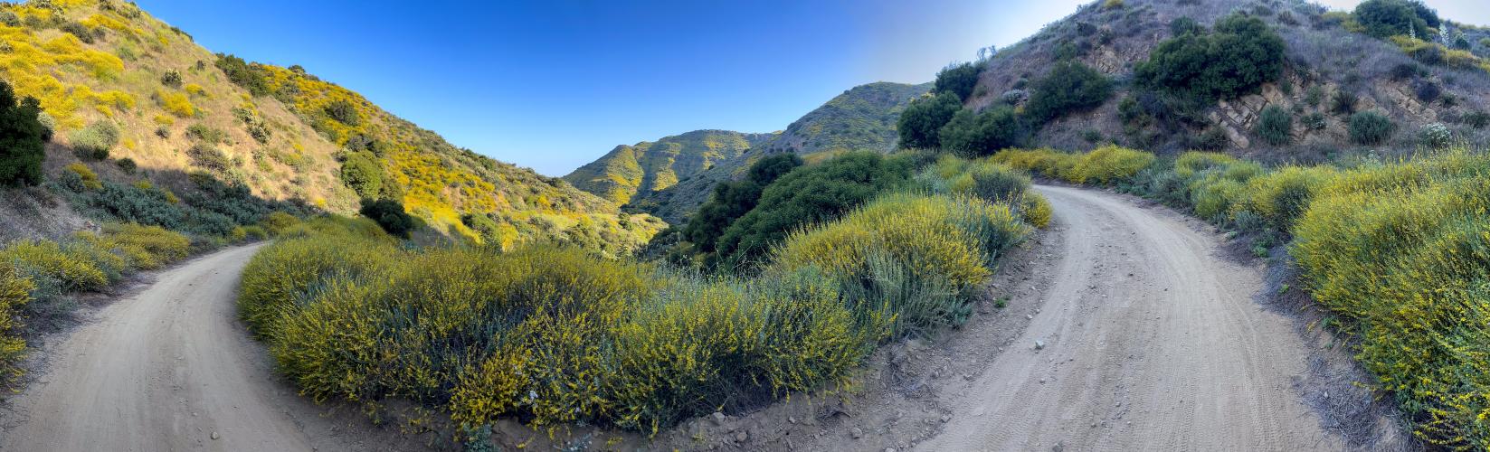 Palo Comado Canyon Bike Climb - PJAMM Cycling