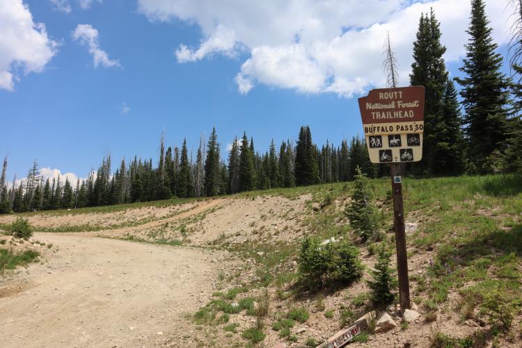 Buffalo Pass Bike Climb - PJAMM Cycling