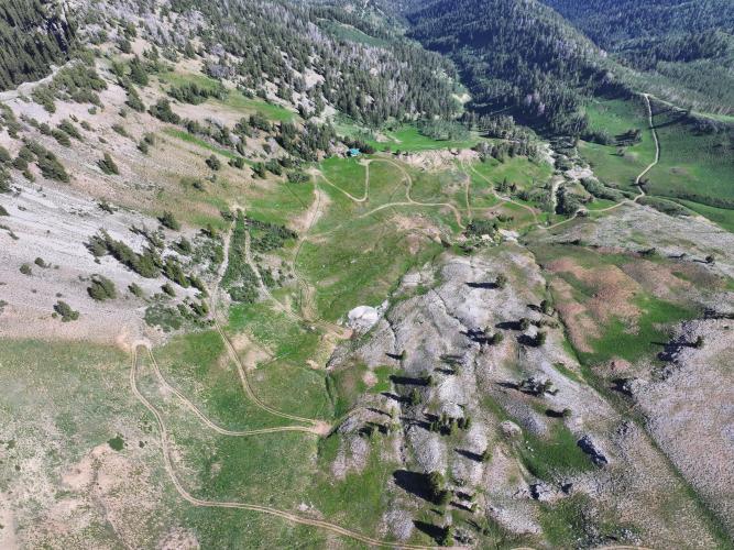 AF Canyon Bike Climb - PJAMM Cycling