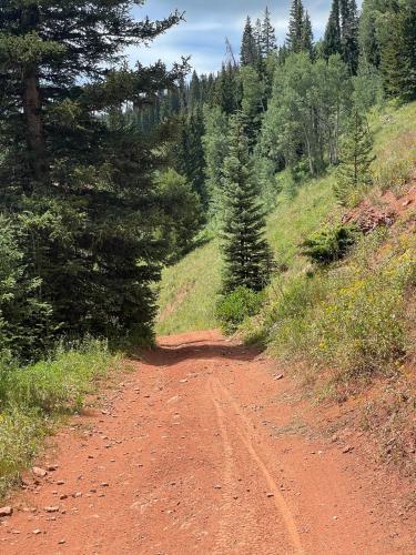 June Creek Road Bike Climb - PJAMM Cycling