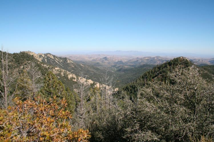 Emory Pass East Bike Climb - PJAMM Cycling