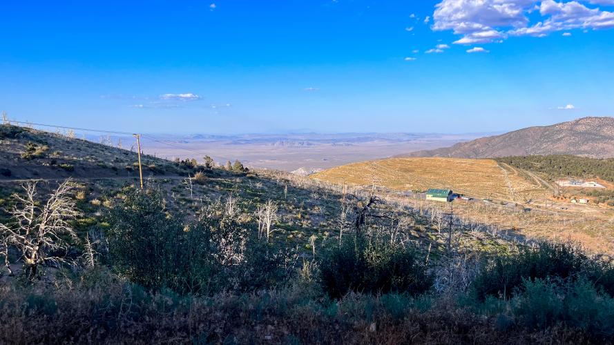 Holcomb Valley Road Bike Climb - PJAMM Cycling