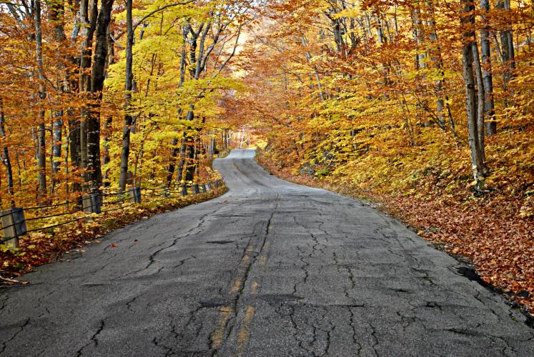 Evans Notch South Bike Climb - PJAMM Cycling