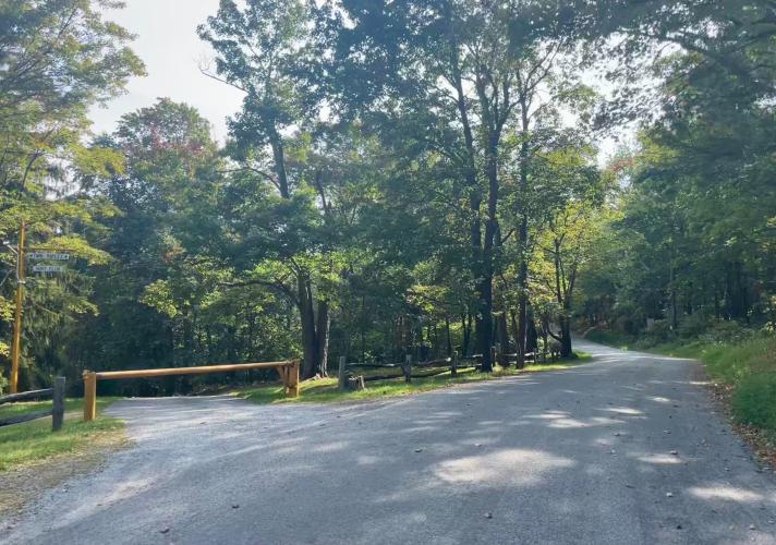Derry Ridge Road Bike Climb - PJAMM Cycling