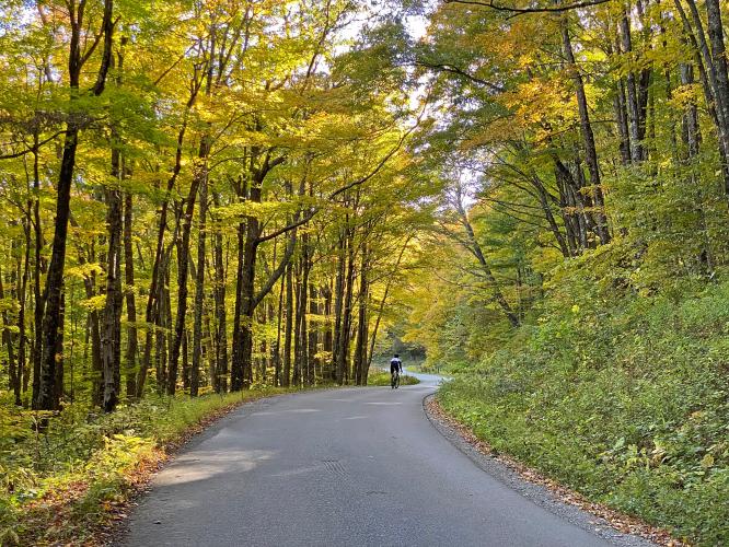 Spruce Knob  Bike Climb - PJAMM Cycling